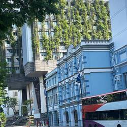 Greenery everywhere