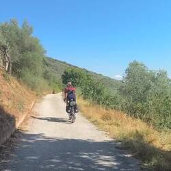 Durch den Olivenhain nach Spello