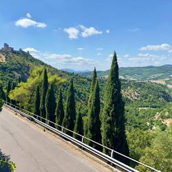 Basilica San Francesco d'Assisi
