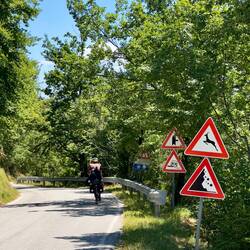 Schilderwald