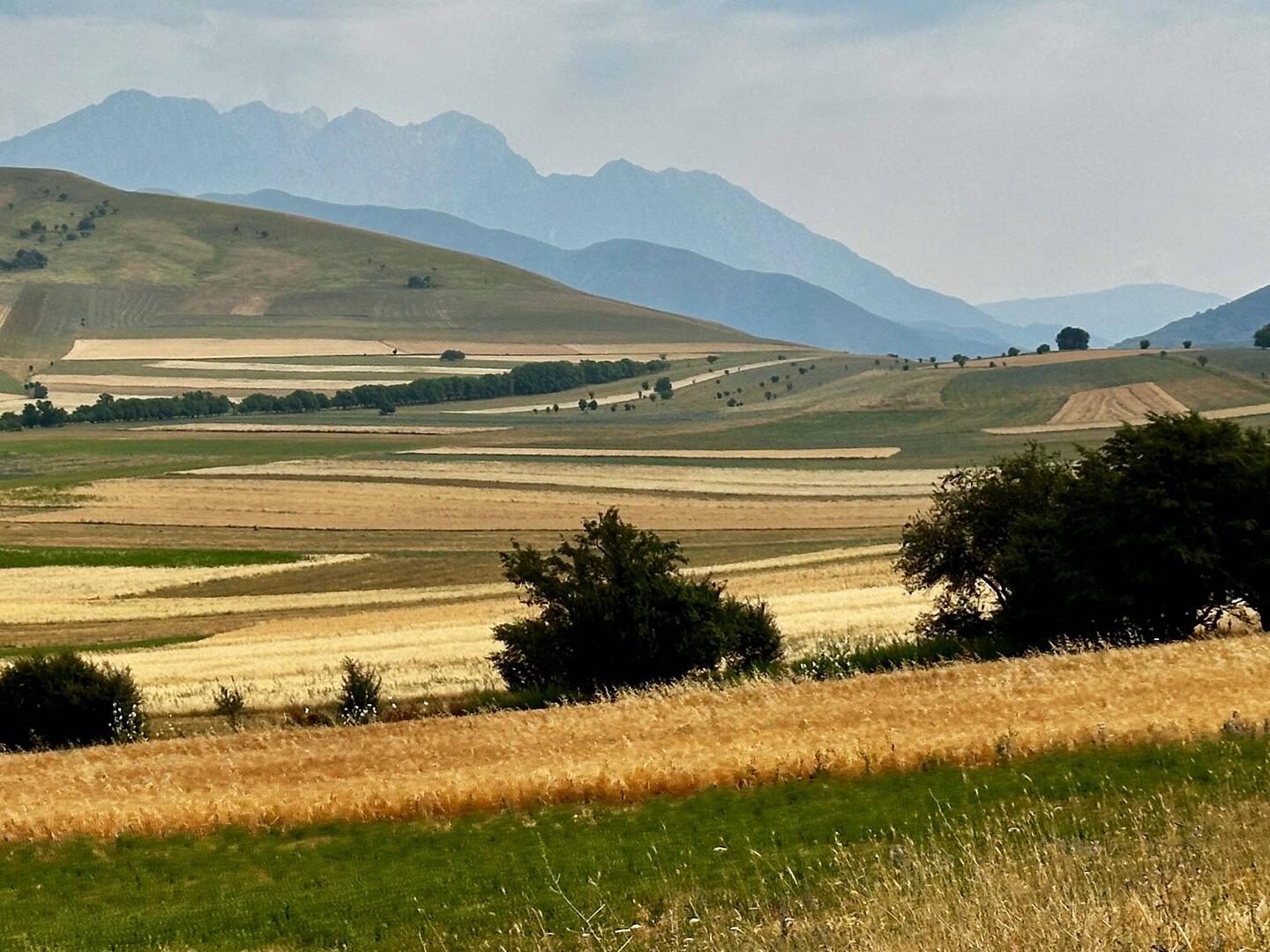 Irgendwo da wollen wir drüber