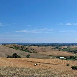 Goudgeel, oker, siena gebrand...