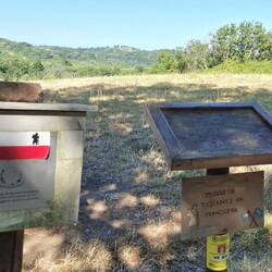 Onderweg azen vele mensen naar overdenkingen van alle voorbijtrekkende 'pellegrino's'
