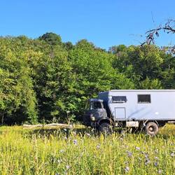Wunderbarer Stellplatz auf der Wiese