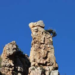 ...nimmt aber bizarrere Formen an als bei uns zu Hause