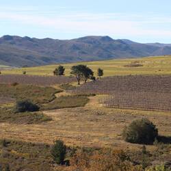 Ich verlasse die Hauptstraße...