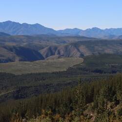 Nach Stunden durch den Wald...