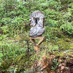 Hier wurde nichts vergraben. Gehen Sie bitte weiter.