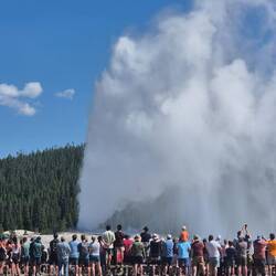 Dank genauer Vorhersage des Ausbruches versammelt sich das Volk für Brot und Spiele
