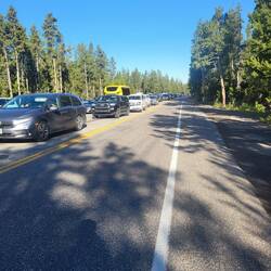 Der westliche Parkeingang erzeugt Mitleid und Schadenfreude zugleich