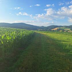 Nasse, aber tolle Wege