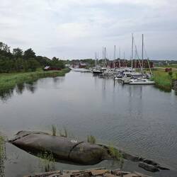Whisper bow in the reeds .The multi hull spot!