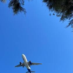 A plane, as seen by Ruby on the beach