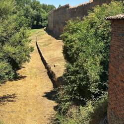 Mansilla de la Mulas