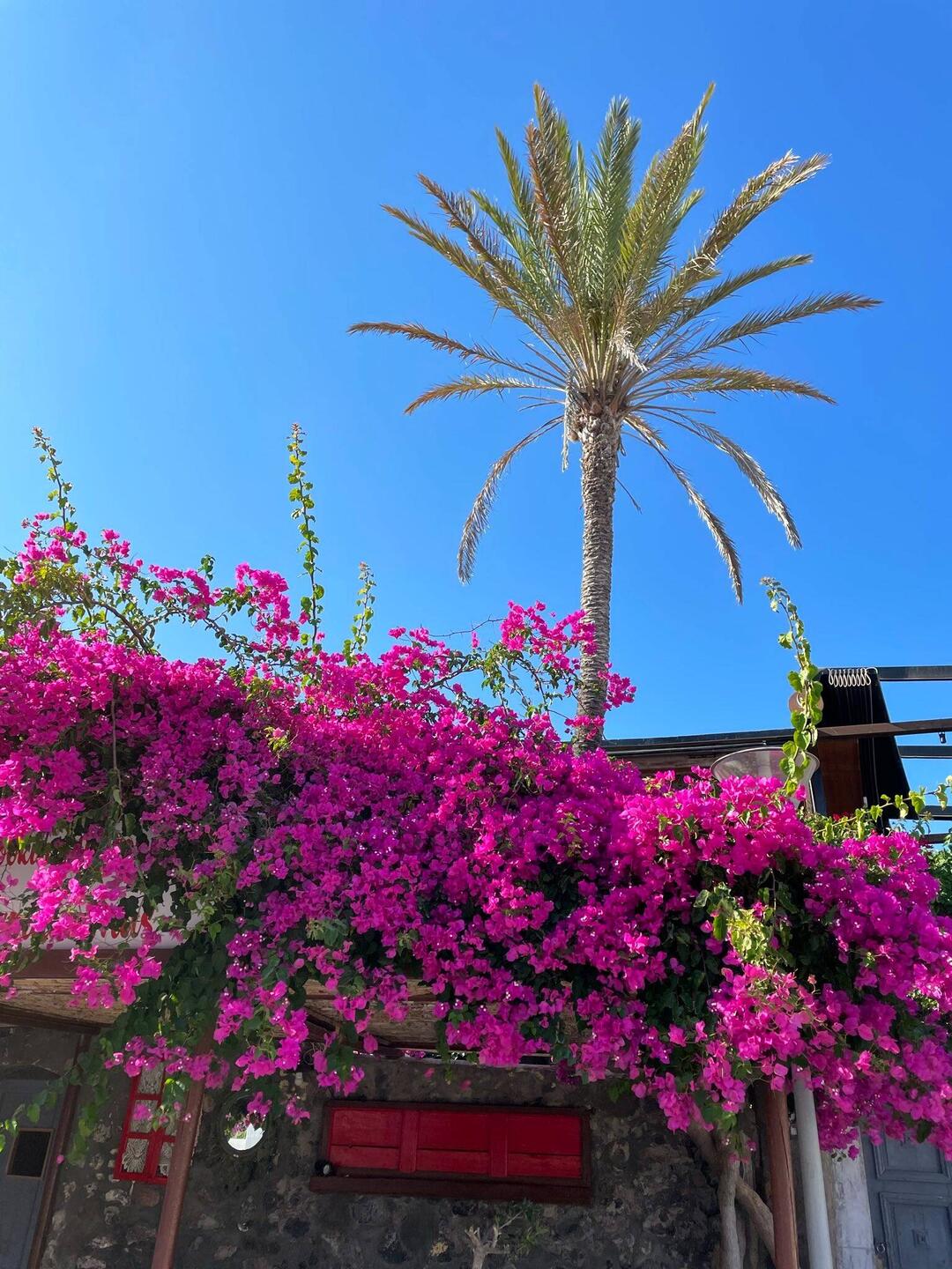 Santorini so pretty