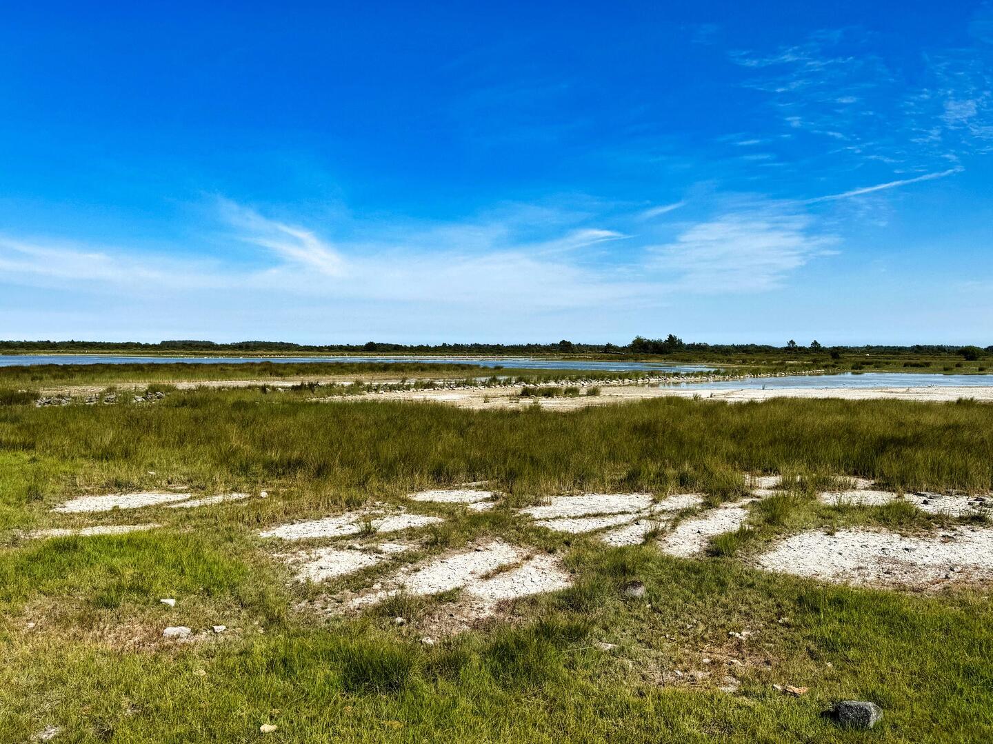 Im Hintergrund der flache See Möckelmossen