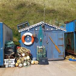 Man's shed