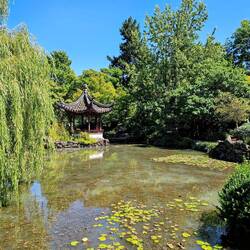 Chinese Classical Garden