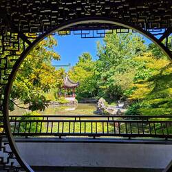 Another view of garden