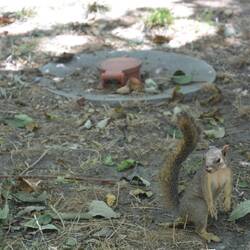 Auf dem Campingplatz
