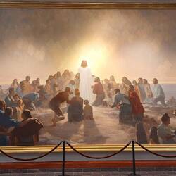 Eines der ausdrucksvollsten Bilder die wir jemals sahen