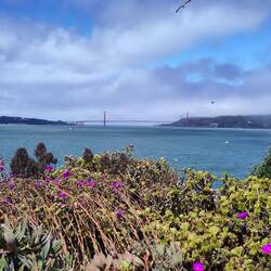 Aussicht zur Golden Gate Bridge aus der Alcatraz Insel