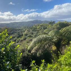 Jurassic Park - live