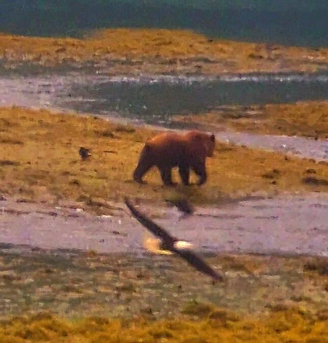 Ein super Foto aus dem folgenden Film.