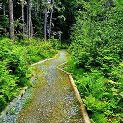 Schöner Weg von Dalton City zurück nach Haines