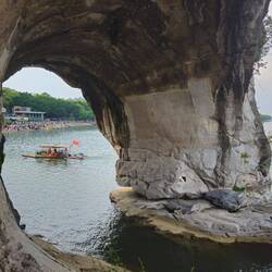 La trompe de l'éléphant