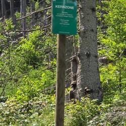 Wir kommen in die Kernzone des Nationalparks