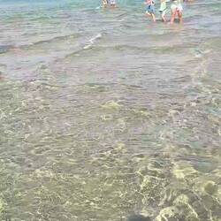 In the water at the tip