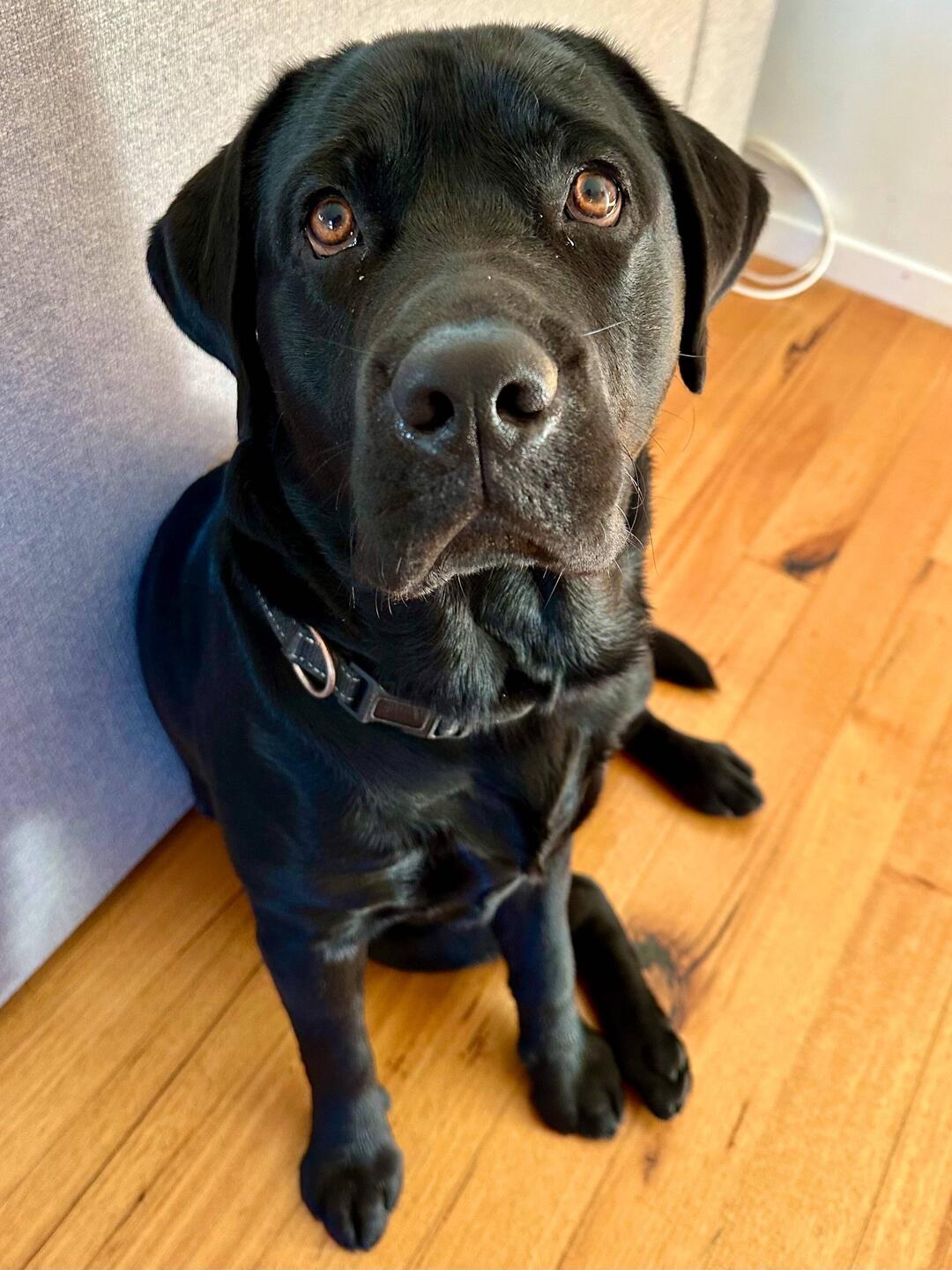 Why are you going away without me?
