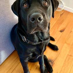 Why are you going away without me?