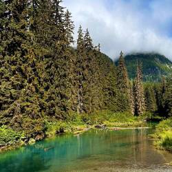 Fish Creek