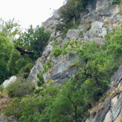 Coming in to land...