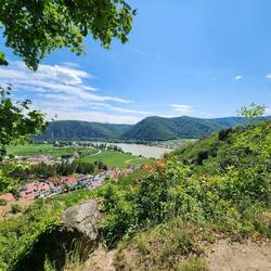 View on the way up the hill