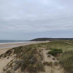 Der Blick auf den Strand
