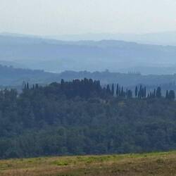 Subtiele laagjes landschap
