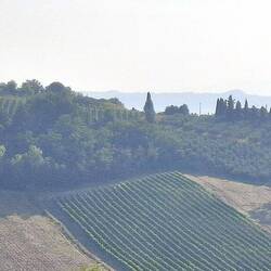 Ik trek twintig keer dezelfde foto... in de hoop dat de beste straks bovendrijft