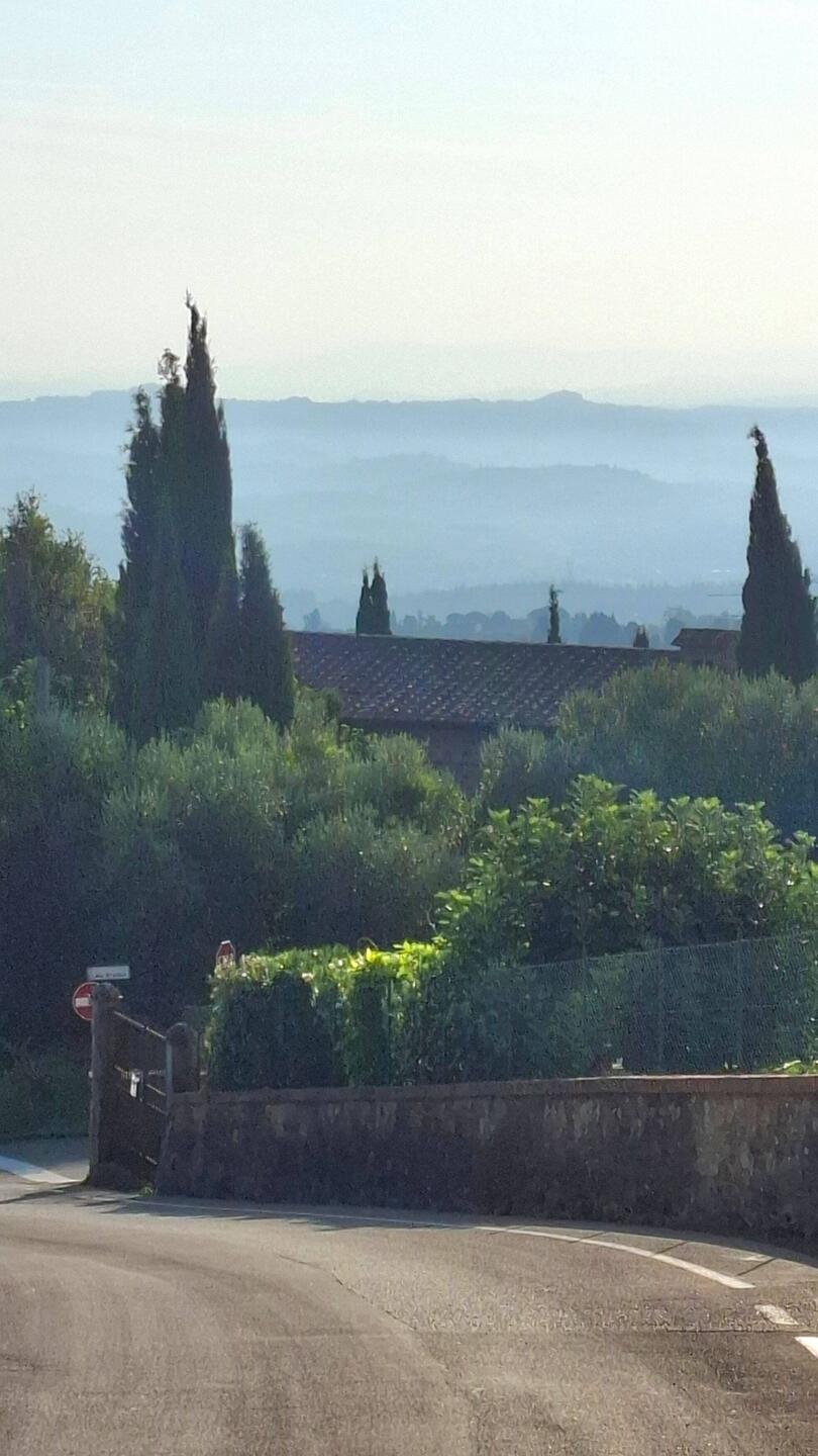 De nevel hangt nog over het landschap