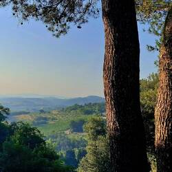 Het lage ochtendlicht heeft wat in petto voor vandaag.