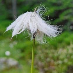 Könnte eine Fee sein 🧚‍♀️