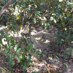 Eher eine Stadt, als ein Haus 😳