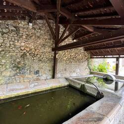 Washing troughs complete with goldfish