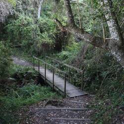 Ich laufe zum Wasserfall, noch ist der Weg easy...