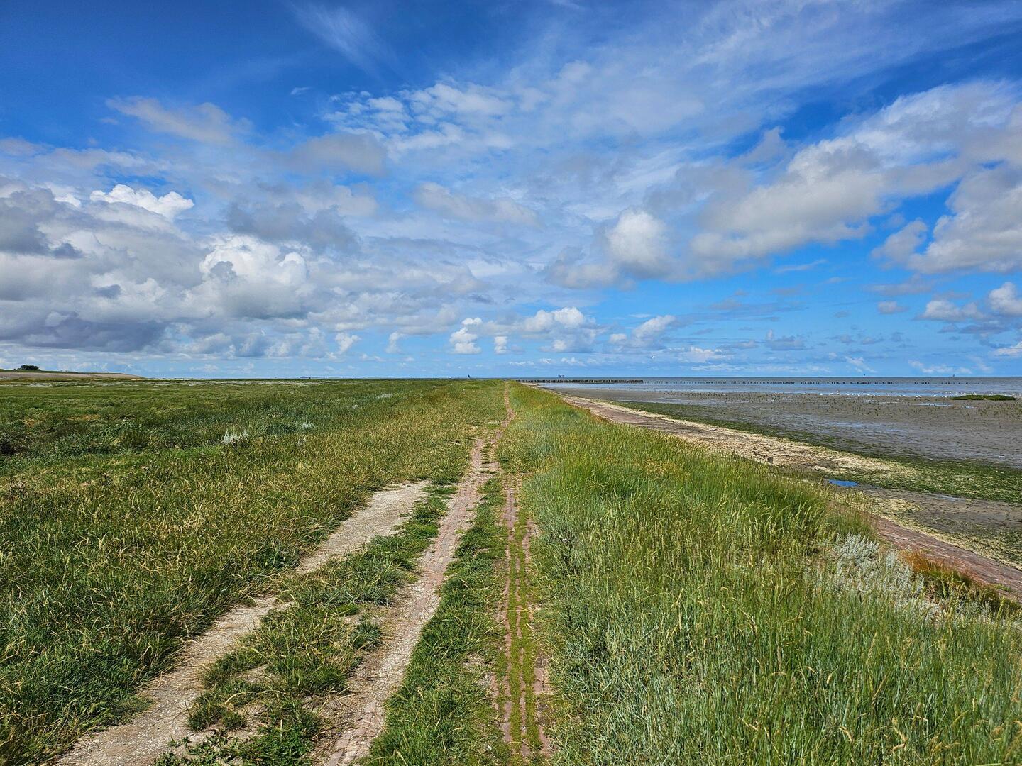 Langs het wad.