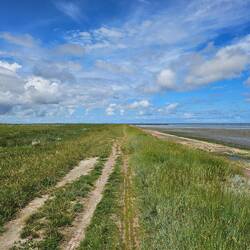 Langs het wad.