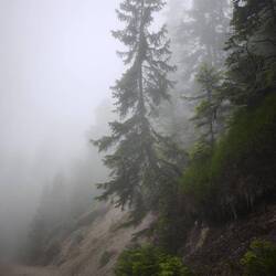 Der verbotene Weg in mystischem Nebel