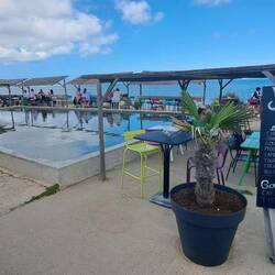 Unterwegs immer wieder Austernbars . Die Austern werden überall an der Küste gezüchtet